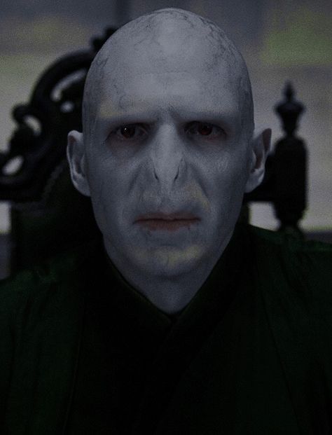 Harry Potter Voldemort, Snape Harry Potter, Snape Harry, Images Harry Potter, Ralph Fiennes, Magical Book, Lord Voldemort, Tom Riddle, Wall Frames