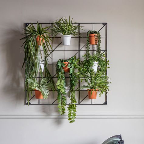 This stunning wall planter features a metal frame and eight pots, four white, and four terracotta, giving a great way to create a greenery wall. Colour: White/Terracotta , Size: 90cm H x 90cm W x 14.7cm D Indoor Wall Planter Ideas, Wall Plant Pot, Wall Planters Outdoor, Vertical Garden Wall Planter, Kitchen Revamp, Indoor Plant Wall, Greenery Wall, Wall Planters, Vertical Garden Wall