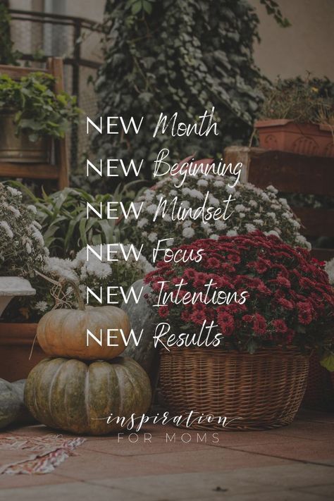 Ella Quotes, Faith And Fitness, Season Of Change, Positive Morning Quotes, Hopeful Romantic, Manifesting My Dream Life, Such Is Life, Stay Present, Positive Morning