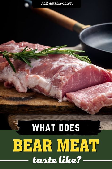 What Does Bear Meat Taste Like? Does Bear Meat Taste Good? -  #Bear #Good #Meat #TASTE How To Cook Bear Meat, Bear Meat Recipes, Bear Meat Recipe, Bear People, Easy Sausage Casserole, Bear Meat, Food Knowledge, Bear Recipes, Preppy Kitchen