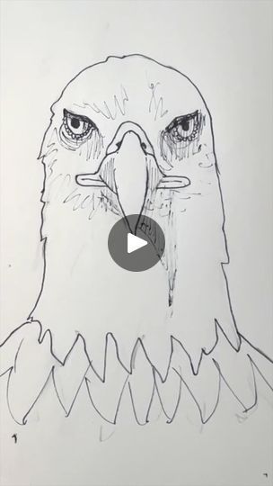 127K views · 7.2K reactions | Draw an eagle 🦅 Easy drawing lesson for beginners on how to draw an eagle. #drawinglesson #howtodraw #drawingforbeginners #draweagle #🦅 | Mark Liam Smith | Mark Liam Smith · Original audio Eagle Drawing Easy, Pencil Sketches Easy, Eagle Drawing, Drawing Lesson, Drawing For Beginners, An Eagle, Drawing Easy, Sketches Easy, Easy Drawing