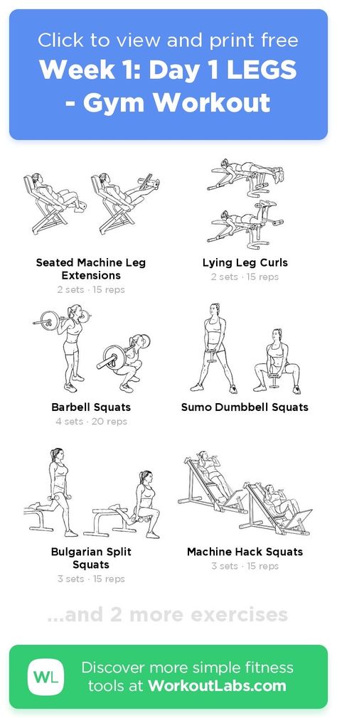 Leg Day Workout At The Gym Beginners, Leg Day Workout At The Gym, Gym Workout Schedule, Beginner Leg Workout, Workoutlabs Fit, Quick Full Body Workout, Vegan Kimchi, Gym For Beginners, Work Out Routines Gym