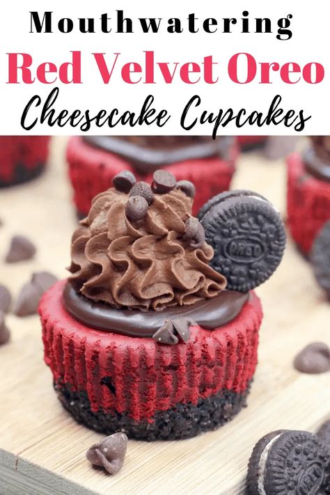 Red Velvet Oreo Cheesecake, Oreo Cheesecake Cupcakes, Velvet Recipes, Cheesecake Cupcakes Recipe, Red Velvet Oreo, Petting Farm, Desserts Cupcakes, Mini Cheesecake Recipes, Homemade Cheesecake