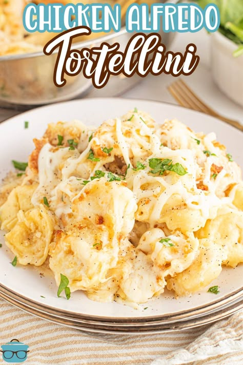 Chicken Alfredo Tortellini is the perfect comforting, belly filling dinner, that comes together quickly and will please the whole family! Perfect weeknight family friendly meal! Cheap Casserole Recipes, Tortellini Alfredo, Chicken Alfredo Recipes, Tortellini Recipes, Filling Dinner, Homemade Alfredo Sauce, Alfredo Recipe, Chicken Alfredo, Easy Family Meals