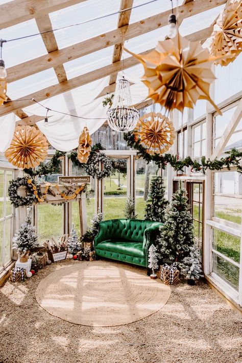 Greenhouse Christmas Decor, Greenhouse For Photography, Greenhouse Photo Studio, Greenhouse Photography Studio, Greenhouse Christmas Photos, Greenhouse Portraits, Dreamy Greenhouse, Christmas Greenhouse, Greenhouse Studio