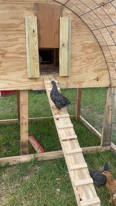 Chicken Coop Ladder, Duck Coop, Chicken Coops, Fire Pit Backyard, Chicken Coop, Coop, Fire Pit, Ladder Decor, Chicken