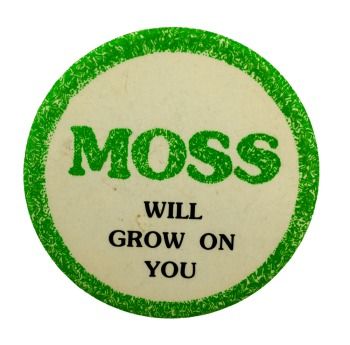 Moss Will Grow on You Pin Ideas Button, Busy Beaver, Button Maker, Pin Ideas, Cool Buttons, Cool Pins, Badge Design, Text Image, Cute Pins