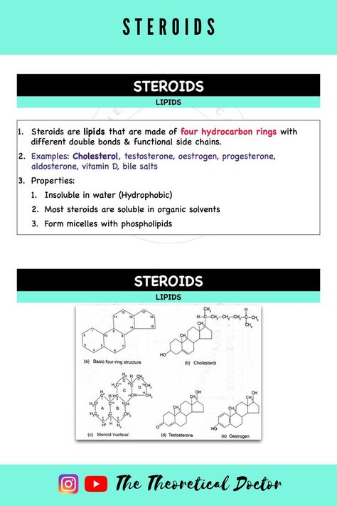 Explanation on steroids and the structures of steroids. Biochemistry Notes, Bile Salts, Chemistry Lessons, Anatomy And Physiology, Biochemistry, Study Guide, Biology, Chemistry, Wordpress