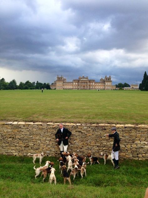 Blenheim Palace, British Country, English Manor, Chateau France, British Countryside, Stately Home, Old Money Aesthetic, English Countryside, Future Life