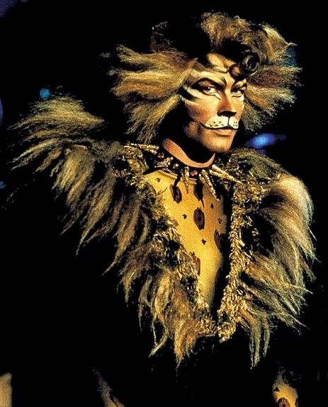 Rum tum tugger. Black with big mane in a brown tabby pattern. Cats The Musical Costume, Rum Tum Tugger, John Partridge, Jellicle Cats, Andrew Lloyd Webber, Malibu Rum, Cat Fountain, Cats Musical, Angry Cat