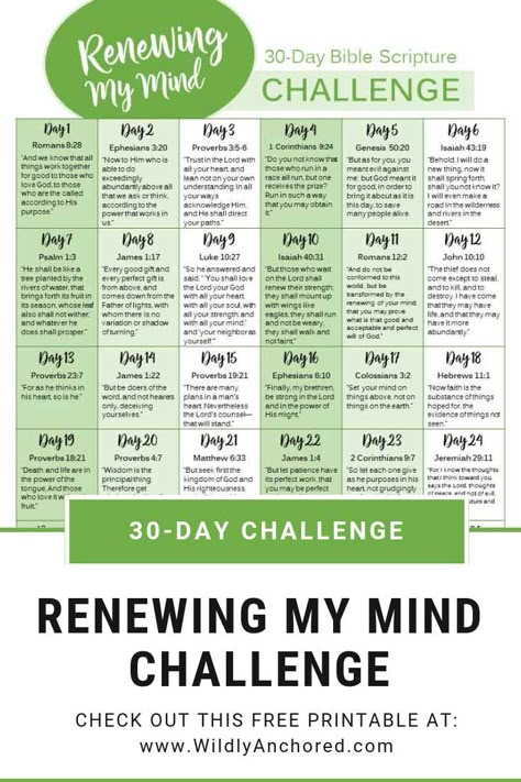 Renewing Of The Mind Scripture, Renew My Mind God, How To Renew Your Mind, Renewing Your Mind Bible, Renew Your Mind Scripture, 30 Day Bible Study, Homeschool Prayer, Scripture Plans, Renewing The Mind