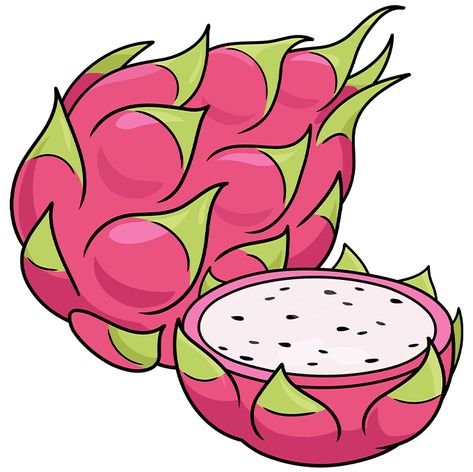 Dragon Fruit Illustration, Dragon Fruit Drawing, Christmas Drawings For Kids, Thanh Long, Buah Naga, Fruit Cartoon, Cartoon Dragon, Lion Drawing, Fruits Drawing