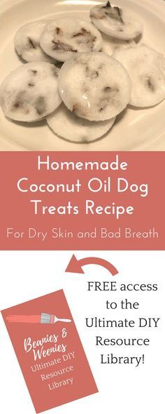 Homemade Coconut Oil Dog Treats Recipes Coconut Oil Dog Treats, Dog Treats Recipes, Dog Treats Recipe, Bad Dog Breath, Dogs Treats, Homemade Coconut Oil, Dog Treats Homemade Easy, Easy Dog Treat Recipes, Diy Dog Food