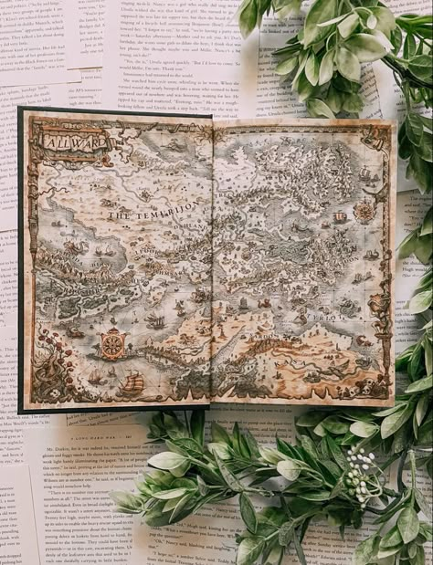 Vintage Map Illustration, Maps In Books, Book Maps, Maps Aesthetic, Fantasy Map Making, Fantasy World Map, Dungeon Master's Guide, Book Illustration Art, Fantasy Setting