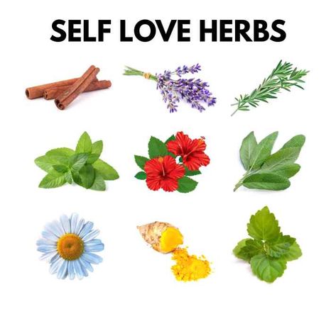 Herbs For Peace, Herbs For Strength Spell, Herbs For Confidence, Love Herbs Magic, Herbs For Self Love, Self Love Herbs Witchcraft, Herbs For Peace Witchcraft, Self Love Oil, Self Love Herbs And Oils