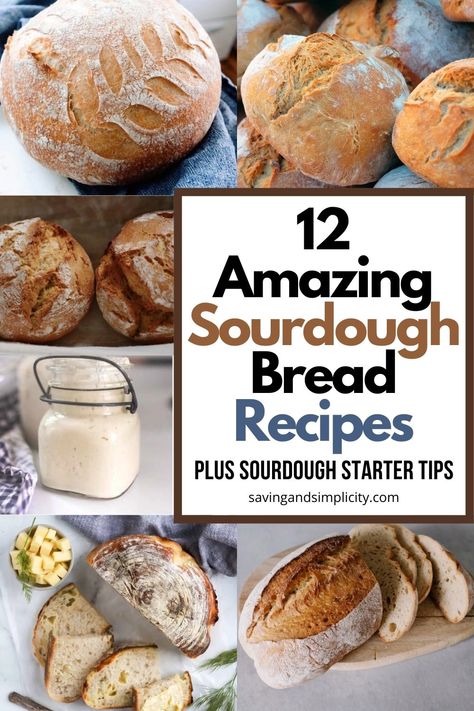 Are you ready to try your hand at making sourdough bread?  Discover just how easy it is to make a sourdough starter and various sourdough bread recipes including a gluten free recipe. A beginners guide to sourdough bread.  It is way easier to make than you think and full of delicious healthy ingredients.  Plus learn more about how to make sourdough starter and what to do with your sourdough discard.   12+ artisan homemade sourdough bread recipes including a chocolate sourdough recipe and so much Simple Sourdough Bread, Healthy Breads, Simple Sourdough, Easy Sourdough Bread Recipe, Homestead Recipes, Dough Starter, Homemade Breads, Homemade Sourdough Bread, Homemade Bread Recipes Easy