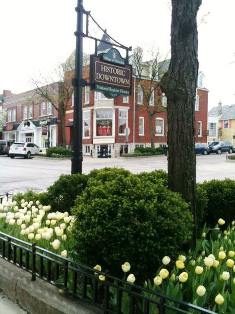 Hinsdale, IL Hinsdale Illinois, Storefront Windows, Walkable Community, Red Storm, Front Landscape, Chicago Real Estate, Chicago Suburbs, Perfect Aesthetic, Front Landscaping