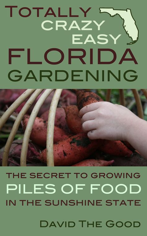 Food Forest Garden, Growing Raspberries, Florida Landscaping, Florida Food, Florida Gardening, Simple Projects, Survival Gardening, Gardening Books, Trellis Plants