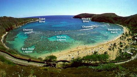 Hanauma Bay - Hawaii has a lot of amazing places but this is one of my favorites Best Snorkeling In Oahu, Oahu Vacation, Hanauma Bay, Best Snorkeling, Hawaii Trip, Hawaii Honeymoon, Hawaiian Vacation, Hawaii Life, Aloha Hawaii