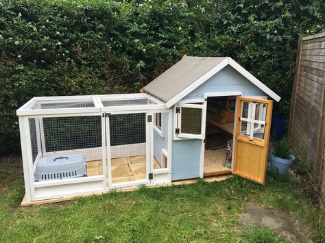 Rabbit Guinea pig boarding playhouse. A hutch is not enough. Rabbit Playhouse, Playhouse Rabbit Hutch, Guinea Pig Hutch Outdoor, Guinea Pig Outdoor Cage Ideas, Diy Outdoor Bunny Enclosure, Bunny Houses, Guinea Pig Outdoor Enclosure, Outdoor Guinea Pig Habitat, Bunny Hutch Diy Outdoor