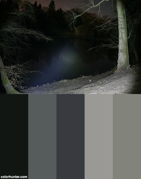 Lake Bank, Cree Head Torch Color Scheme from colorhunter.com Dark Colour Pallete, Villain Color Palette, Grunge Colour Palette, Evil Color Palette, Dark Pallete, Color Scheme Aesthetic, Spooky Color Palette, Assignment Work, Sky Fanart