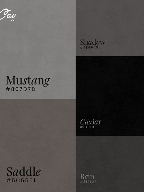 This dark and moody color palette pulls colors from an equestrian vibe which is going to be a huge branding and design trend in 2025.  MUSTANG #807D7D SADDLE #5C5551 SHADOW #4E4949 CAVIAR #010101 REIN #312E2E Dark Grey Mood Board, Moody Aesthetic Color Palette, Moody Colour Scheme, Deep Moody Color Palette, Dark Grey Color Palette Colour Schemes, Dark Modern Color Palette, Dark Green Brand Color Palette, Moody Colors Palette, High Contrast Aesthetic