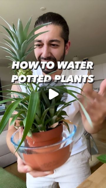 Plants In Water Vase, Plant Watering Hacks, Inside Gardening, Diy Self Watering Planter, Upcycle Hacks, Apartments In Nyc, Garden Ideas Plants, Plant Diy, Indoor Water Garden