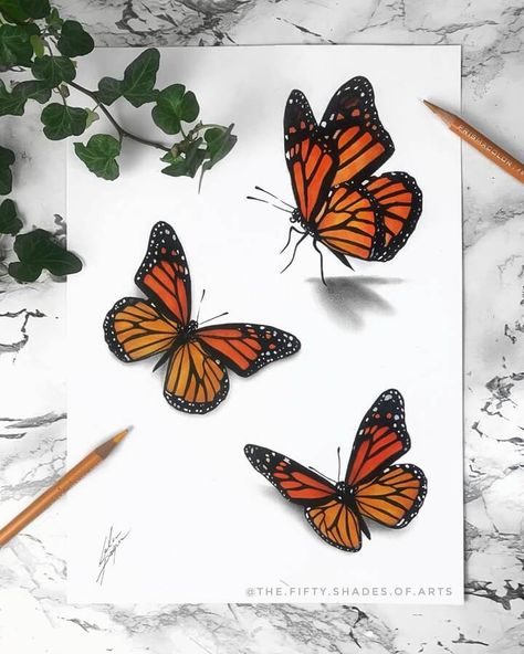 Orange Butterflies. Pencil and Ink Animal Drawings. Click the image, for more art from Solene Pasquier. Art Sketches Butterflies, Butterfly Pencil Color, Realistic Butterfly Painting, Butterfly Drawing Pencil Coloring, Pencil Art Drawings Butterfly, Creative Animal Drawings, Colored Pencil Butterfly, Butterfly Drawing With Color, Butterfly Drawing Colorful