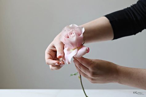 How to Turn Basic Roses from Beautiful to Breathtaking - Between Carpools Open Rose, Rose Stem, Rose Leaves, How To Turn, Ribbon Slides, A Rose, The Rose, Floral Designs, Rose Petals