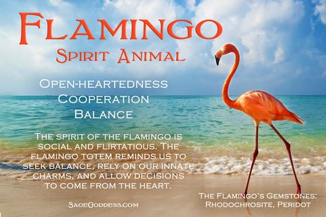 Flamingo Sprit Animal More Spirit Animal Meaning, Flamingo Pictures, Flamingo Necklace, Animal Meanings, Spirit Animal Totem, Animal Spirit Guide, Creepy Vintage, Animal Spirit Guides, Animal Medicine