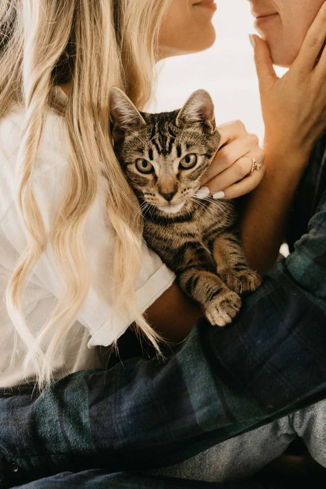 Cat Family Photo, Pet Family Photos, Family Pet Photography, Shooting Couple, Animal Photoshoot, Home Photo Shoots, College Party, Perfect Morning, Engagement Photo Poses