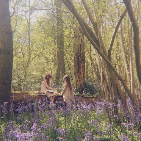 Lia Core Aesthetic, Lia Core, In The Woods, In The Middle, The Middle, Trees, Forest, Log, Purple