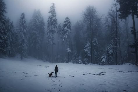 Matthias Helvar, To The Unknown, Winter Scenery, Six Of Crows, Into The Woods, Winter Aesthetic, Bern, Story Inspiration, Pine Trees