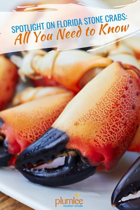 Stone Crab Claws Recipe, Crab Claw Recipes, Stone Crab Claws, Crab Restaurant, Boil Recipes, Mustard Dipping Sauce, Crab Meat Recipes, Seafood Boil Recipes, Florida Fish