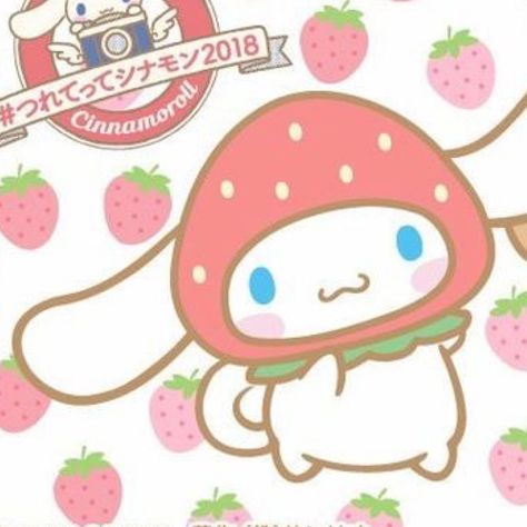 Cinnamon Roll And My Melody, Cinamoroll And Mocha, Cinnamoroll Pfp, Kawaii Pfp, Pfp Matching, Cinnamon Roll, My Melody, Flan, Matching Pfp