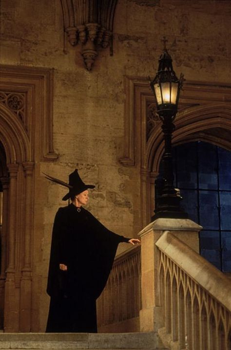 Professor Mcgonagall, Harry Potter Wall, Philosophers Stone, The Sorcerer's Stone, Maggie Smith, Hogwarts Aesthetic, Harry Potter Pictures, Albus Dumbledore, Harry Potter Aesthetic