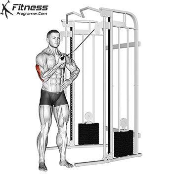 Cable Tricep Extension, Chest And Tricep Workout, Shoulder Workout Routine, Chest Workout Routine, Tricep Pushdown, Barbell Deadlift, Cable Workout, Single Leg Deadlift, Muscle Imbalance