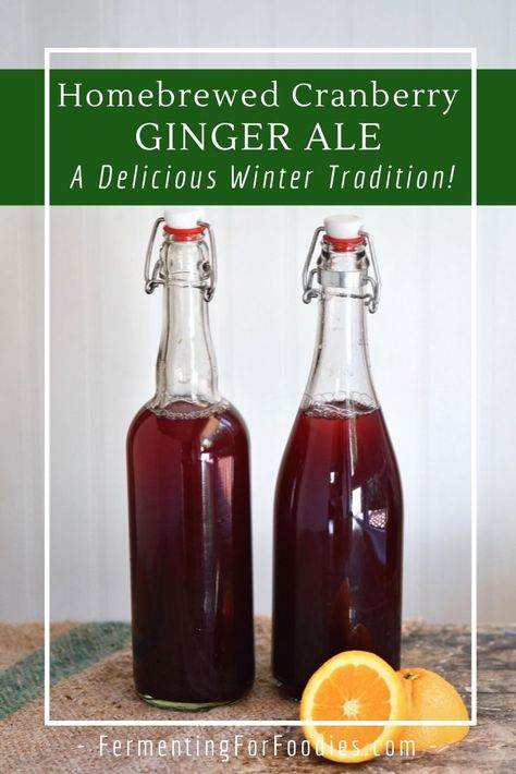 Homebrewed cranberry ginger ale is a Canadian winter holiday tradition. Fermentation Station, Cranberry Ginger Ale, Fermenting Foods, Ginger Ale Recipe, Ginger Soda, Homemade Ginger Ale, Fermented Drinks, Ginger Bug, Spicy Drinks