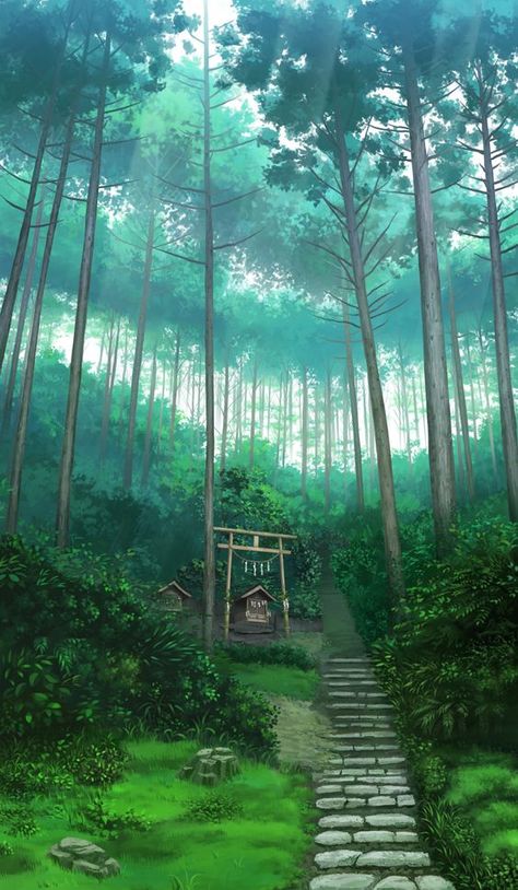 Forest, Anime