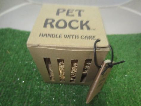 pet rock with How to Raise Your Pet Rock Booklet #kookykitsch Pet Rock Ideas, Entrepreneur Kids, Pet Rock, Diy Gifts To Make, Easy Diy Christmas Gifts, Diy Gift Set, Mini Craft, Book Party, Pet Rocks