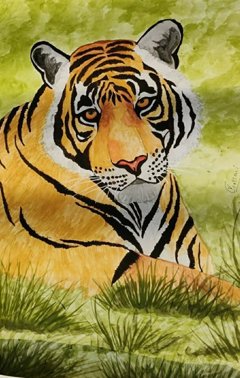 Water colour art Tiger Painting Acrylic, Tiger Acrylic Painting, Painting Of Tiger, Acrylic Painting For Kids, Poster Color Painting, Colorful Canvas Art, Watercolor Tiger, Watercolor Art Landscape, Parrots Art