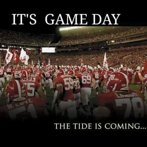 Bama Gameday, Alabama Wallpaper, Alabama Football Team, Alabama Football Roll Tide, Bear Bryant, Rammer Jammer, Bama Football, Football Cheer, Alabama Crimson Tide Football