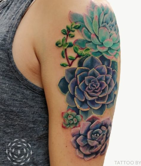 Succulents Tattoo Succulent, Succulent Tattoo, Cactus Tattoo, Theme Tattoo, Plant Tattoo, Time Tattoos, Tattoo Sleeve, Fake Tattoos, Trendy Tattoos