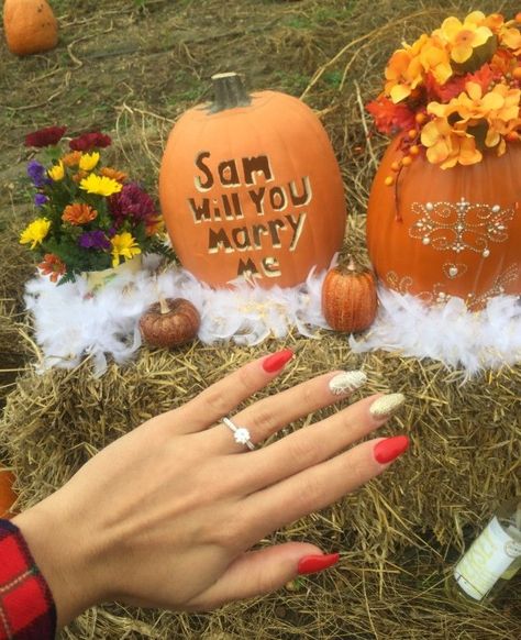 Halloween Proposal Engagement, Fall Engagement Ideas Proposal, Fall Proposal Ideas Engagement, Halloween Proposal Ideas, Proposal Ideas Halloween, Purposals Ideas Engagement, Engagement Announcement Facebook, Proposal Ideas Fall, Adorable Relationships