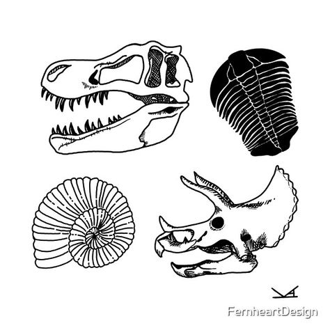 Four fossils- Tyrannosaurus Rex skull, Trilobite, Ammonite, and Triceratops skull. Trilobite Embroidery, Fossil Embroidery, Triceratops Skull Tattoo, Trilobite Tattoo, Fossil Tattoo, Tyrannosaurus Rex Skull, Triceratops Skull, Fossil Art, Journal Format