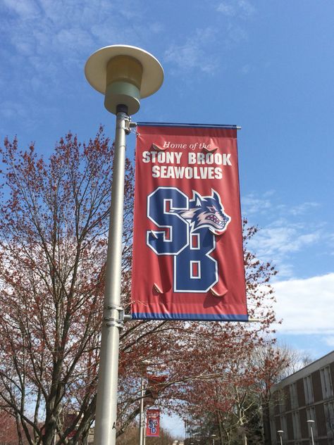 Stony Brook University Aesthetic, Stonybrook University, College Bed, Bed Party, University Aesthetic, Stony Brook University, College Bedding, Stony Brook, College List