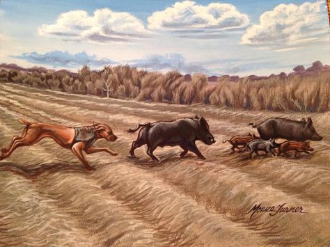 Custom hog hunting painting done using customer's photo as a reference. Hog hunting in the Florida sugar cane fields by Monica Turner Hog Hunting With Dogs, Pig Hunting Dogs, Pig Hunting, Feral Pig, Louisiana Catahoula Leopard Dog, Hunting Painting, Hog Hunting, Wild Hog, Catahoula Leopard