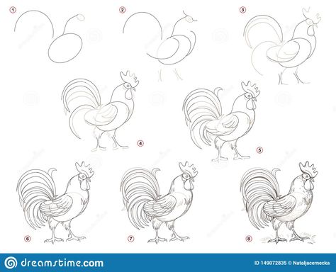 Educational page for children shows how to create step by step a pencil drawing of rooster.. Illustration about children, gradually, black, farm, create, page, draw - 149072835 Rooster Printable, Chicken Drawing, Beginner Sketches, Rooster Painting, Rooster Art, Animation Art Sketches, Art Drawings Sketches Pencil, Chicken Art, Cow Art