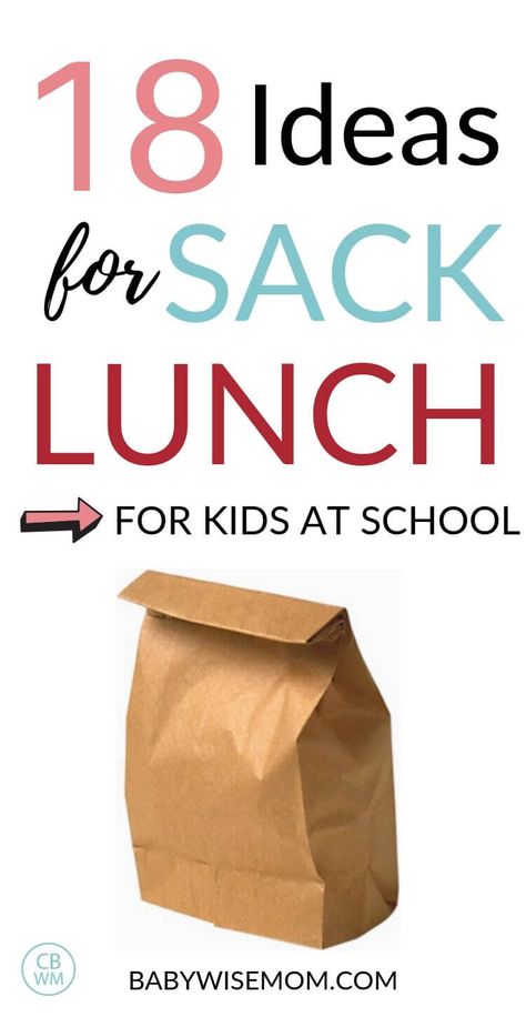 Healthy Sack Lunch Ideas For Adults, School Sack Lunch Ideas, Sack Dinner Ideas, Kids Sack Lunch Ideas, Healthy Sack Lunch Ideas, Field Trip Sack Lunch Ideas, Brown Bag Lunch Ideas For Adults, School Lunch Ideas For Teachers, Cheap School Lunch Ideas For Kids