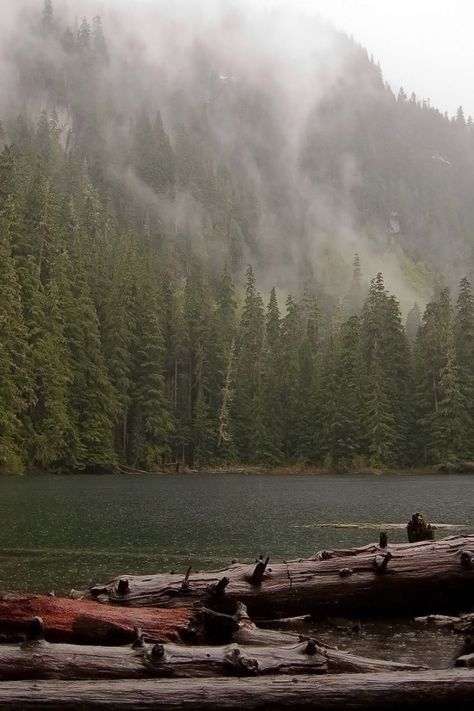 Green Lake in the rain, By pfly  (Pierce, Washington, USA) Rainy River, Smell Of Rain, Hidden Beauty, Washington Usa, Forest Pictures, Green Lake, Outdoor Lover, Water Me, Chiaroscuro